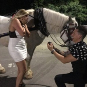 Marriage & Proposal Horse Carriage Ride