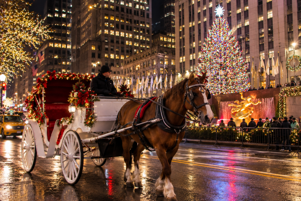 Holiday Street City Lights Carriage Ride/ Please contact us at (805) 467-7322 before booking!